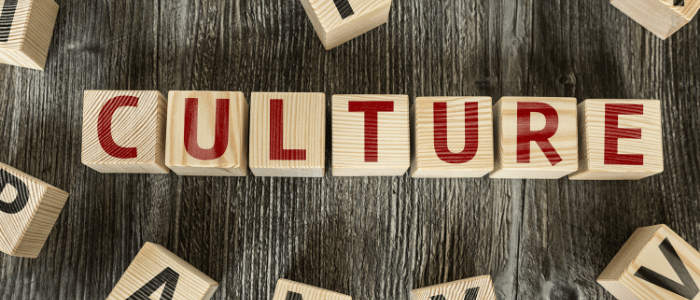 A Review of the Hottest Word: Culture