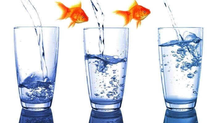 How to Build Leadership Accountability