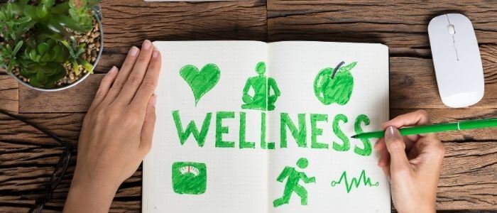 How to Start a Company Wellness Program & the Cost Associated